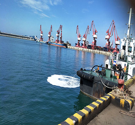 金(jīn)海漿紙專用碼頭溢油事故應急救援專項訓練